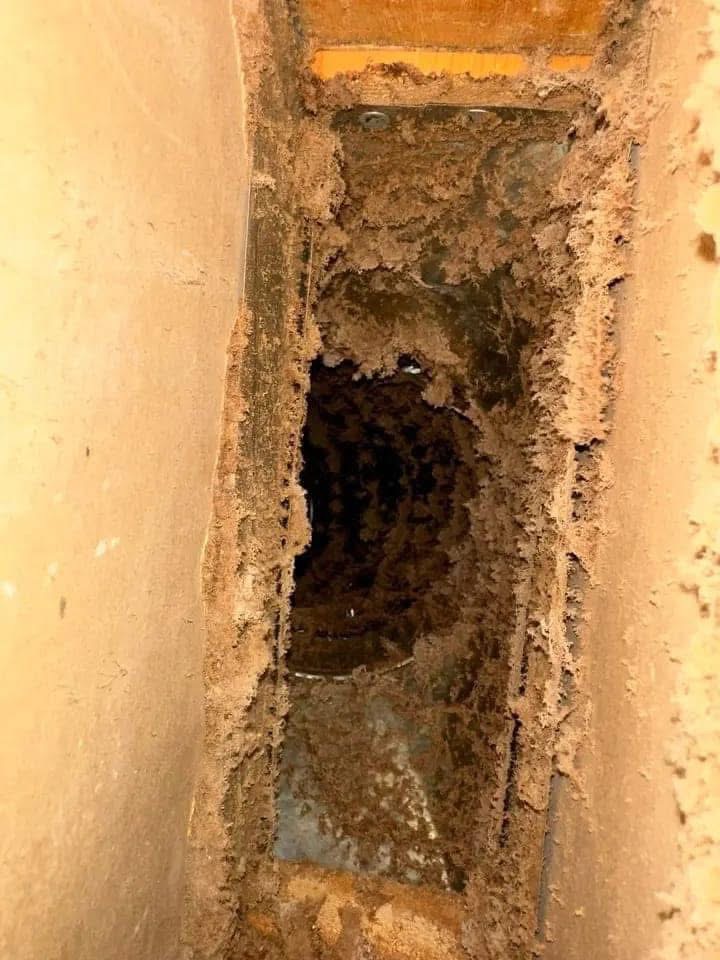 Before: clogged dryer vent full of lint